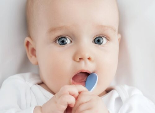 im Präsenzseminar zum Beikoststart dürfen Babys mitgebracht werden